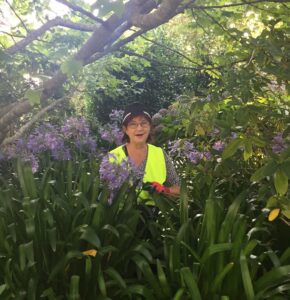 12747234_1078330705563032_5566656412430068042_o